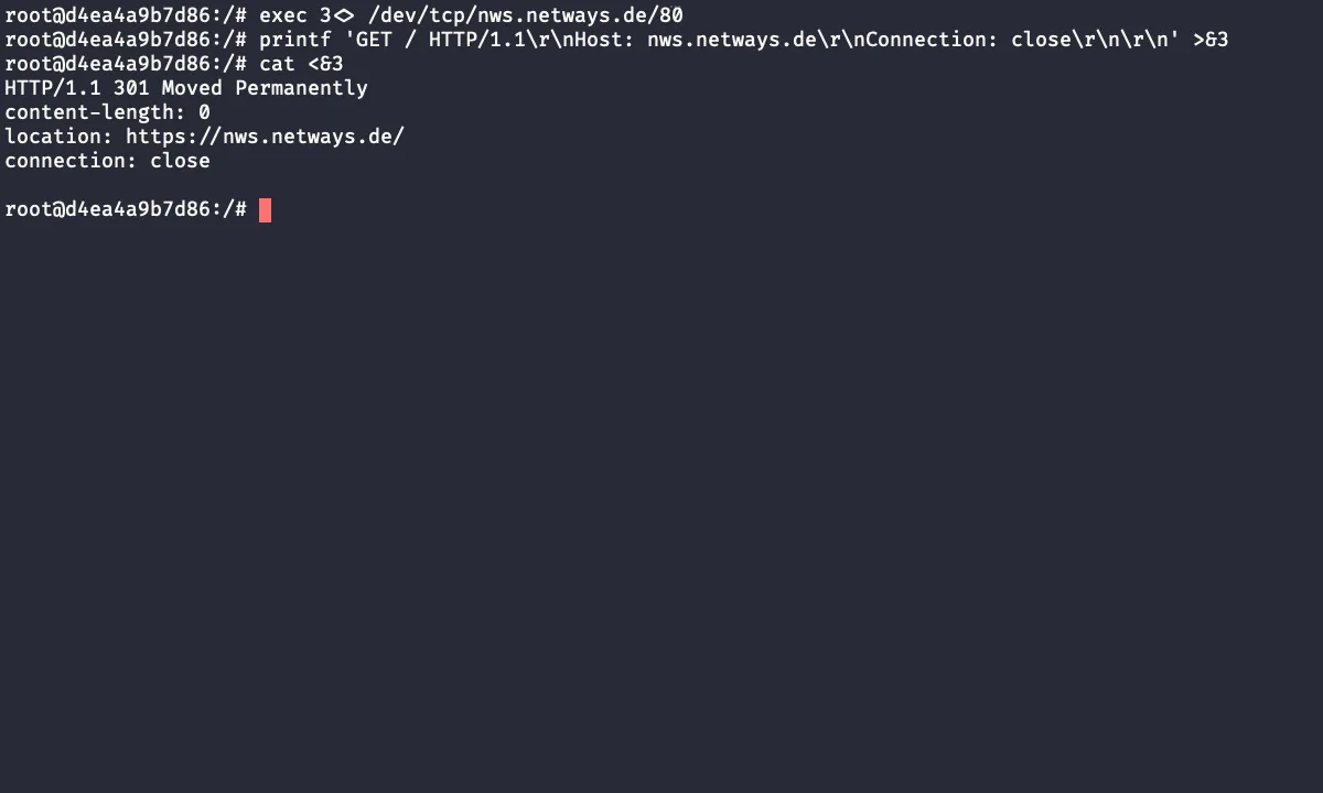 Bash TCP screenshot